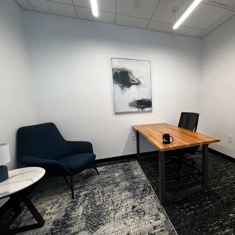 Venture X Fairfax Mosaic - private office room